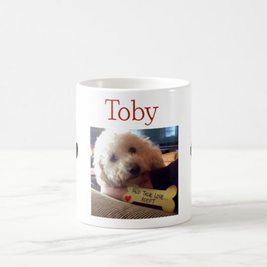 Toby-Foto-Tasse Kaffeetasse (Mittel)