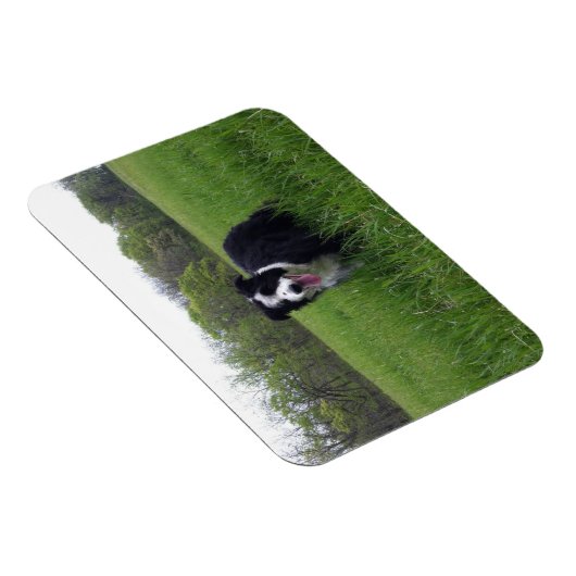 Toby Magnet (Rechte Seite)