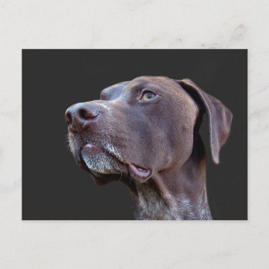 Toby Postkarte (Vorderseite)