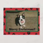 tobyxmascard, Frohe Weihnachten!! Feiertagspostkarte (Vorderseite)