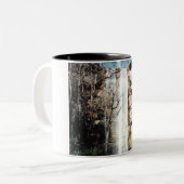 Toccoa Falls, Georgia Zweifarbige Tasse (Vorderseite Links)