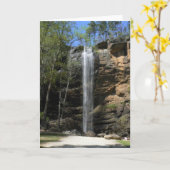 Toccoa fällt (Sommer-) Anmerkungs-Karte Karte (Gelbe Blume)