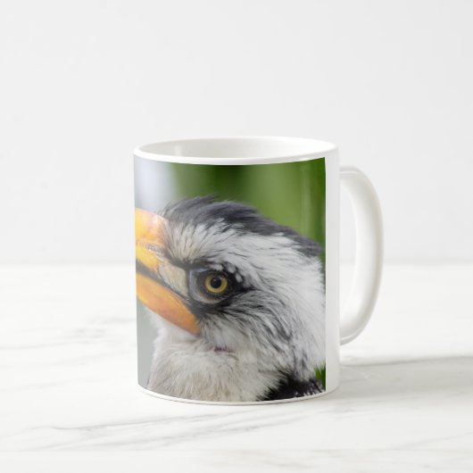 Tockus leucomelas kaffeetasse (VorderseiteRechts)