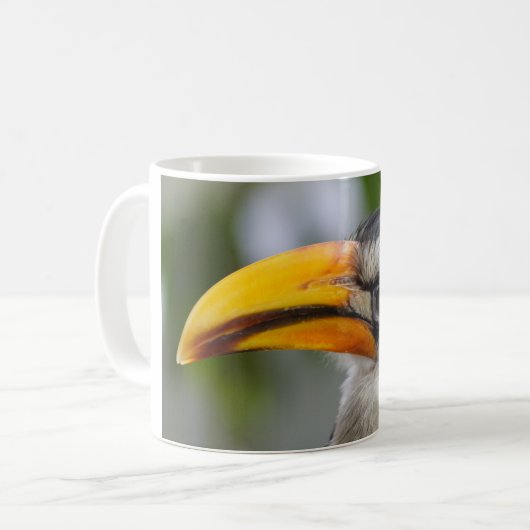 Tockus leucomelas kaffeetasse (Vorderseite Links)
