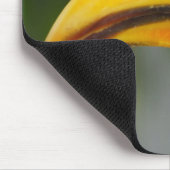 Tockus leucomelas mousepad (Ecke)