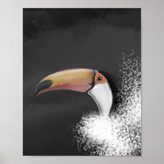 toco toco toucan (original hand zeichn) poster (Vorne)