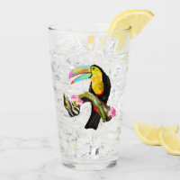 Toco Toucan Bird