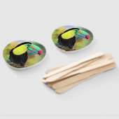Toco Toucan Bird Hand Fan Fächer (Non-assembled)