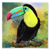 Toco Toucan Bird Painting Poster Print (Vorne)