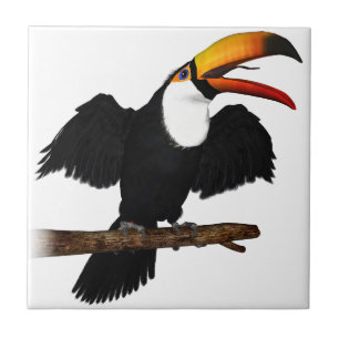 Toco Toucan Fliese