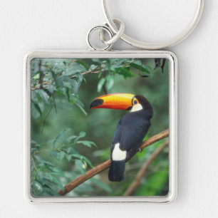 TOCO TOUCAN FOTO FARBENREICH SCHLÜSSELANHÄNGER
