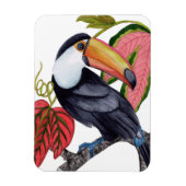 Toco Toucan Magnet (Vertikal)