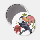 Toco Toucan Magnet (Vorderseite/Rückseite)
