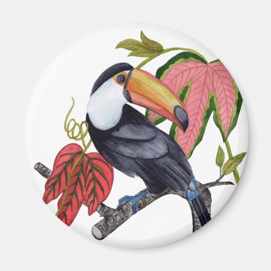 Toco Toucan Magnet (Vorne)