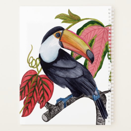 Toco Toucan Planer (Rückseite)