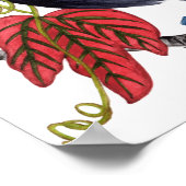 Toco Toucan Poster (Ecke)