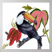 Toco Toucan Poster (Vorne)