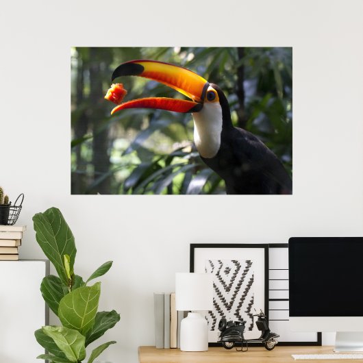 Toco Toucan Poster (Heimbüro)