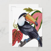 Toco Toucan Postkarte (Vorne/Hinten)