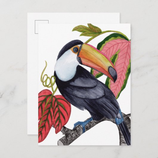 Toco Toucan Postkarte (Vorne/Hinten)
