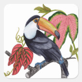 Toco Toucan Quadratischer Aufkleber (Vorderseite)