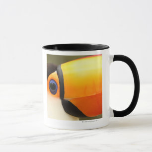 Toco Toucan (Ramphastos toco) ist das größte Tasse
