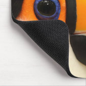 Toco Toucan (Ramphastos toco) ist der größte Mousepad (Ecke)