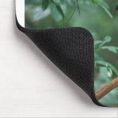 Toco Toucan, wer kann? toucan! Mousepad (Ecke)