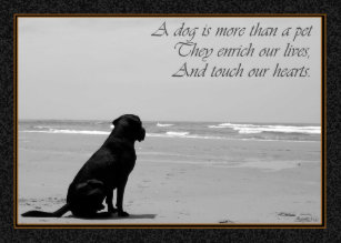 Get Wallpaper Hunde Beileid Karten Zazzle De For iPhone