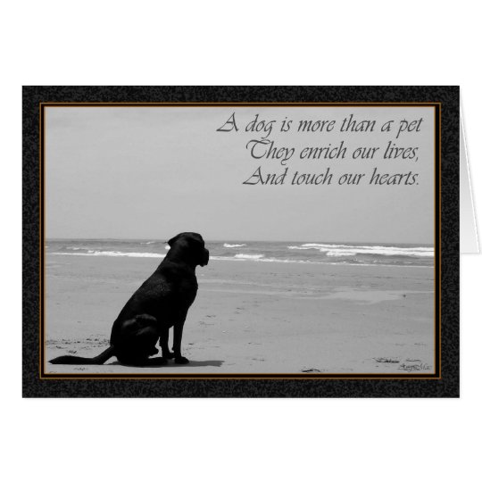 Tod eines Haustieres, Hundetod, traurig, Hund, der Karte Zazzle