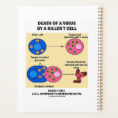 Tod eines Virus durch eine tödliche T-Zell-Immunol Planer (Rückseite)