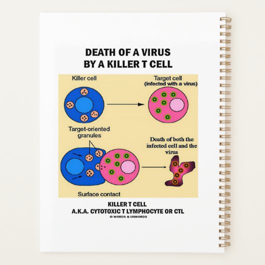 Tod eines Virus durch eine tödliche T-Zell-Immunol Planer (Rückseite)