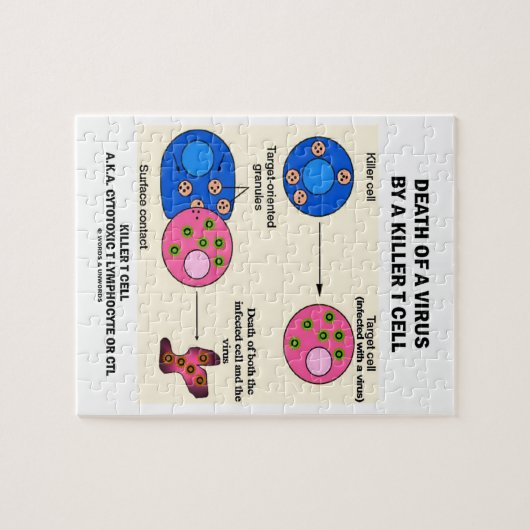 Tod eines Virus durch einen MörderT Cell Puzzle (Horizontal)