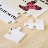 Tod eines Virus durch einen MörderT Cell Puzzle (Seite)