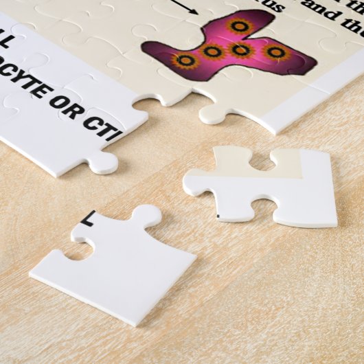 Tod eines Virus durch einen MörderT Cell Puzzle (Seite)