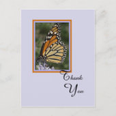 Tod oder Beileid Danke Postcard — Schmetterling Postkarte (Vorderseite)