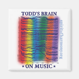 Todd-Gehirn Magnet