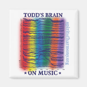 Toddgehirn Magnet