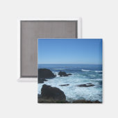 Todd's Point in Fort Bragg, Kalifornien Magnet (Vorderseite/Rückseite)