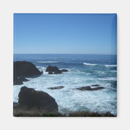 Todd's Point in Fort Bragg, Kalifornien Magnet (Vorne)