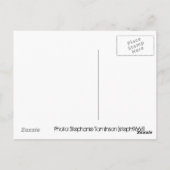 Todesfolge - ESP Postkarte (Rückseite)