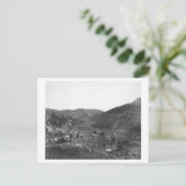 Todesholz aus Livingstons Hügelfotografie Postkarte (Stehend Vorderseite)