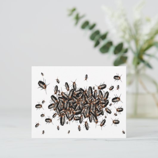 Todeskopfkakerlaken Postkarte (Stehend Vorderseite)