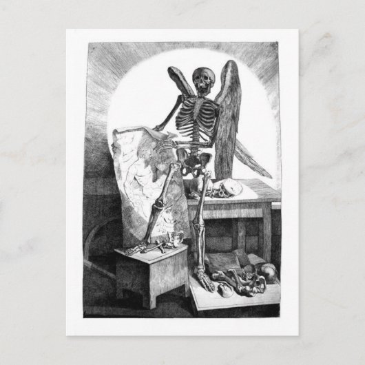 Todesstudien Mans Anatomie Postkarte (Vorderseite)