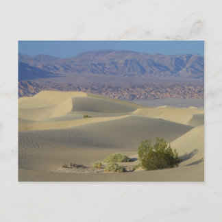 Todestal Postkarte