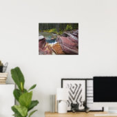 Todholzfallen auf Reynolds-Bucht im Herbst Poster (Heimbüro)