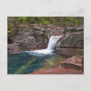 Todholzfallen auf Reynolds-Bucht im Herbst Postkarte