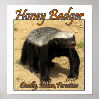Tödlich, verrückt, wilde Honey Badger Print Poster