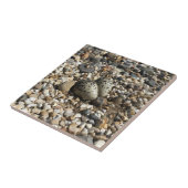 Tödliche Eier in Kies Fliese (Seite)