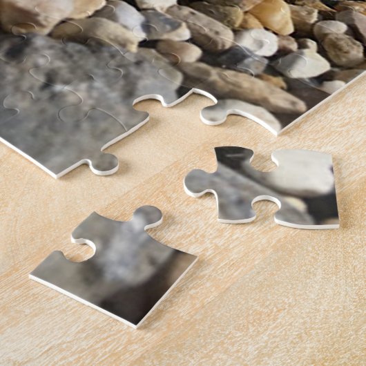 Tödliche Eier in Kies Puzzle (Seite)